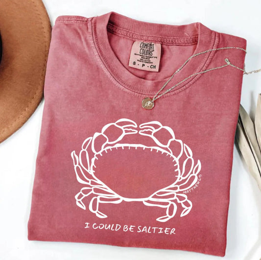 I Could Be Saltier Christian Shirt Christian Summer Shirt Ocean Salt Life Matthew 6:13 Bible Verse